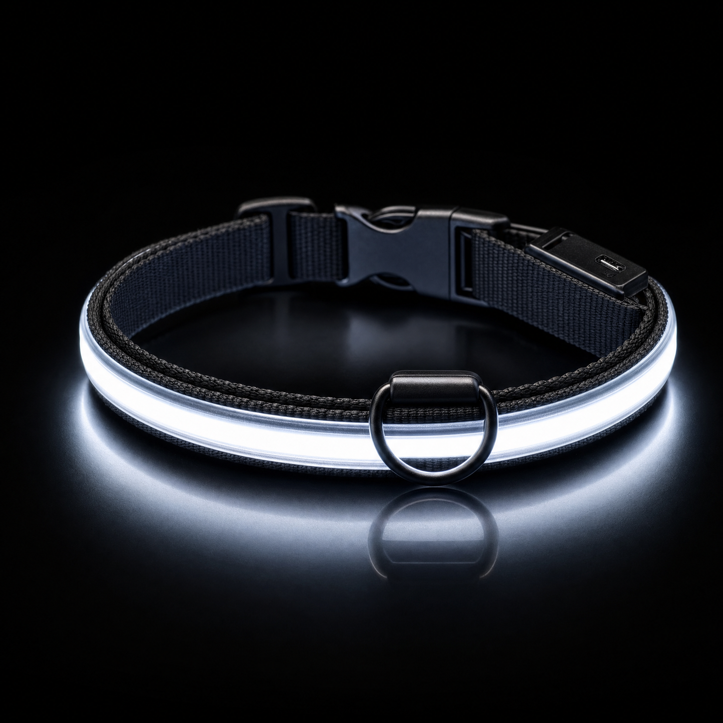 LED Dog Collar USB Rechargeable | Night Safety Flashing Light