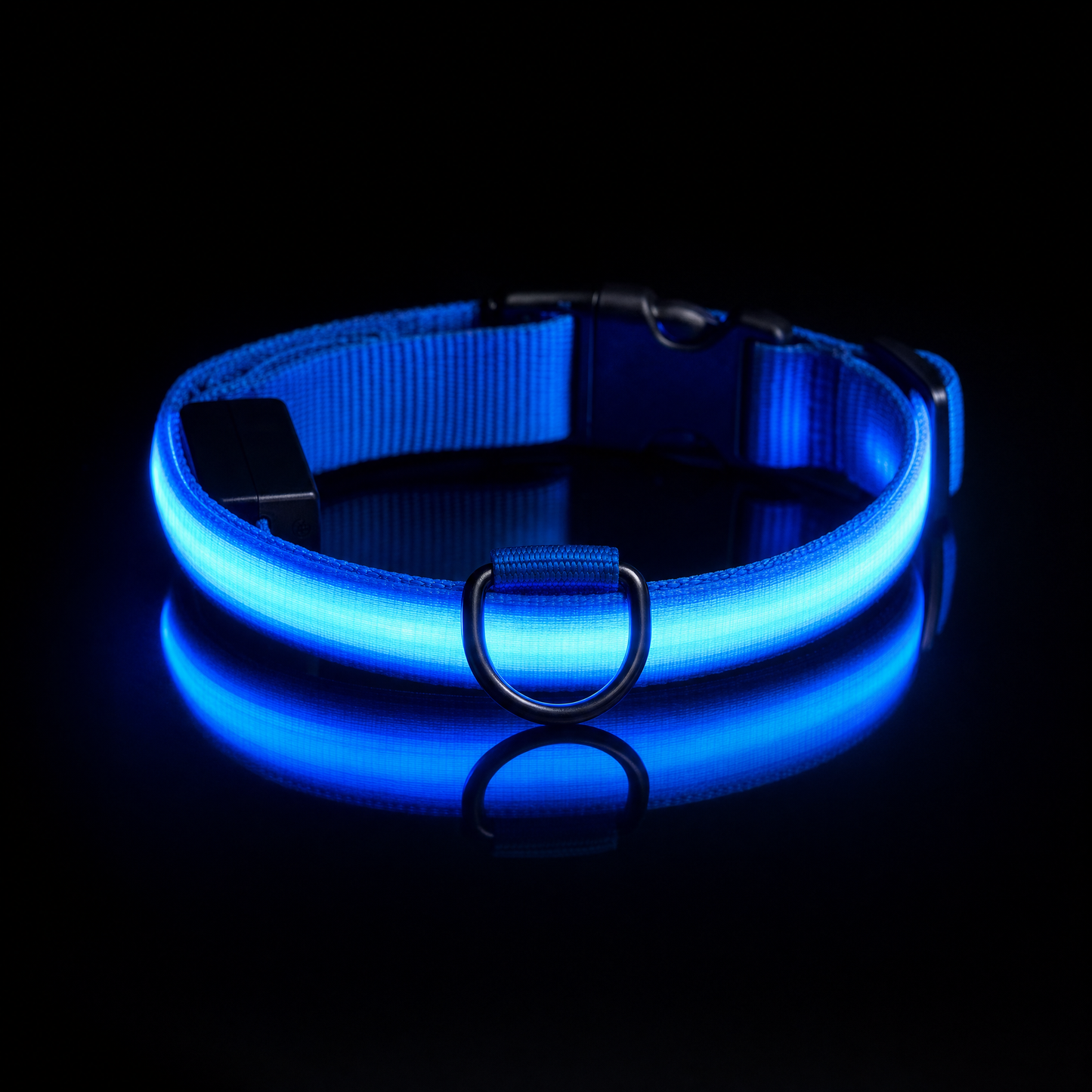 LED Dog Collar USB Rechargeable | Night Safety Flashing Light