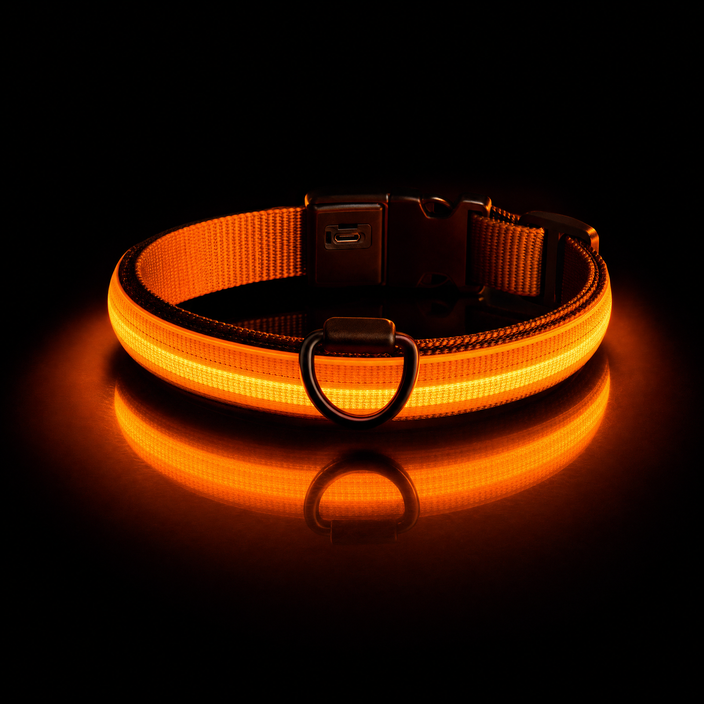LED Dog Collar USB Rechargeable | Night Safety Flashing Light