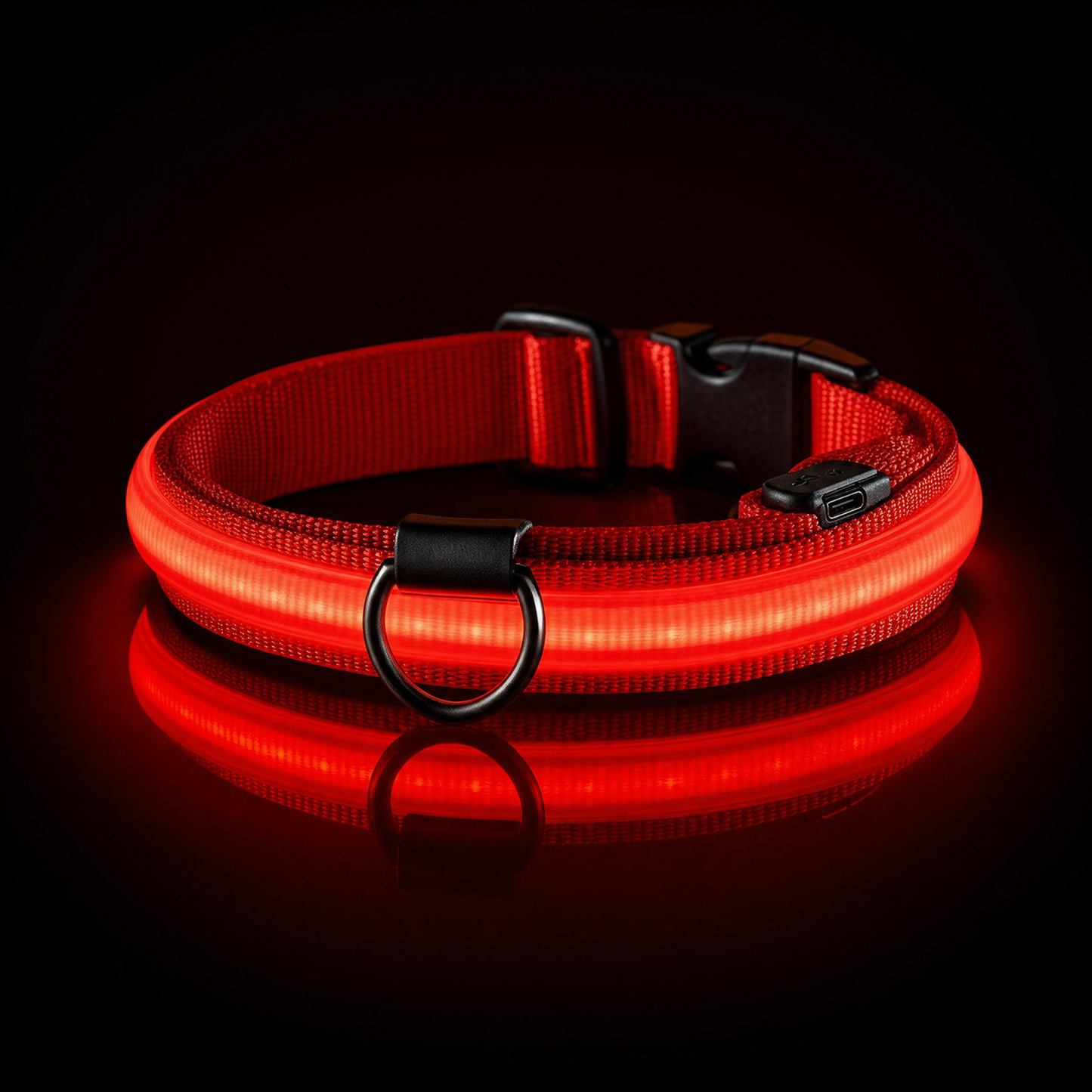 LED Dog Collar USB Rechargeable | Night Safety Flashing Light
