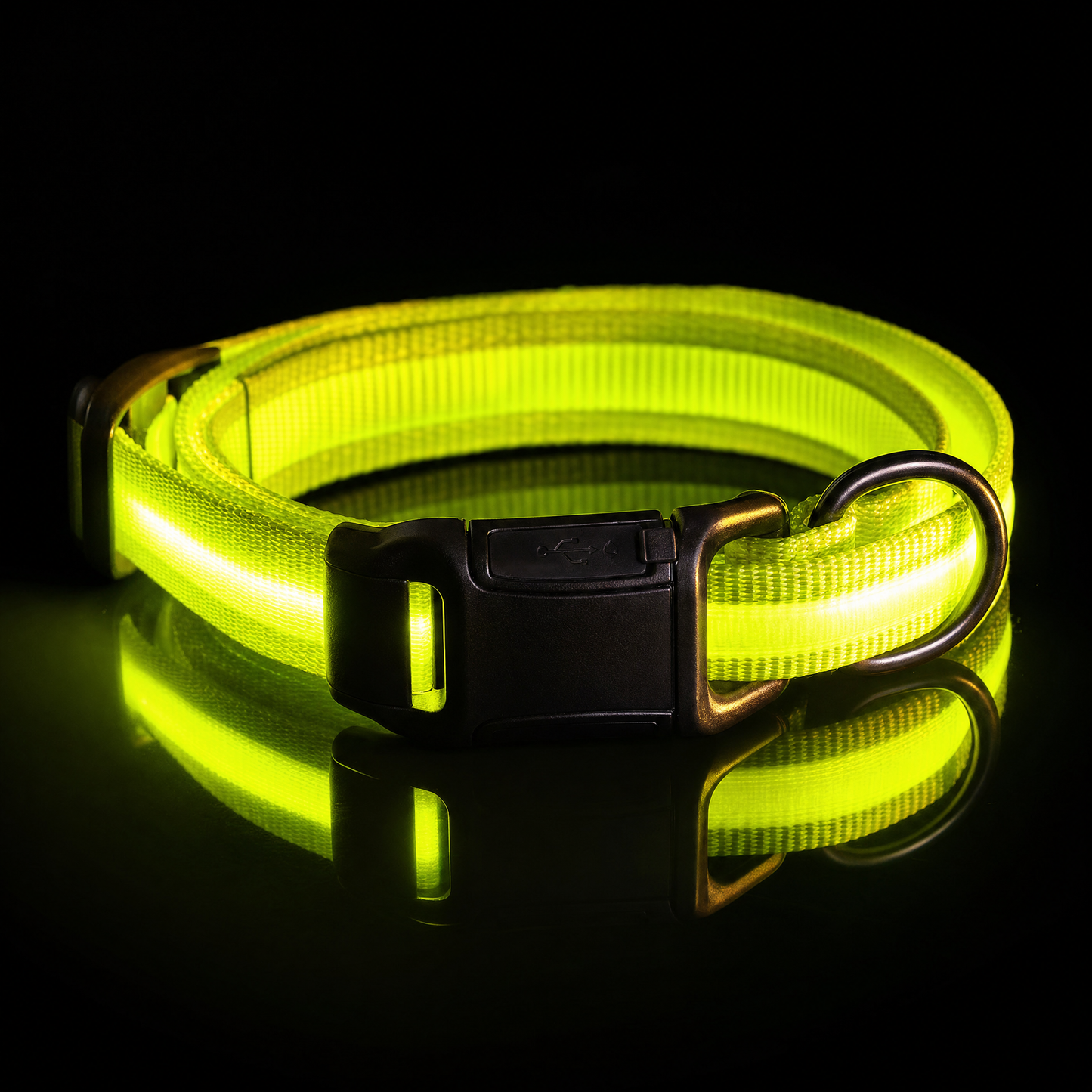 LED Dog Collar USB Rechargeable | Night Safety Flashing Light